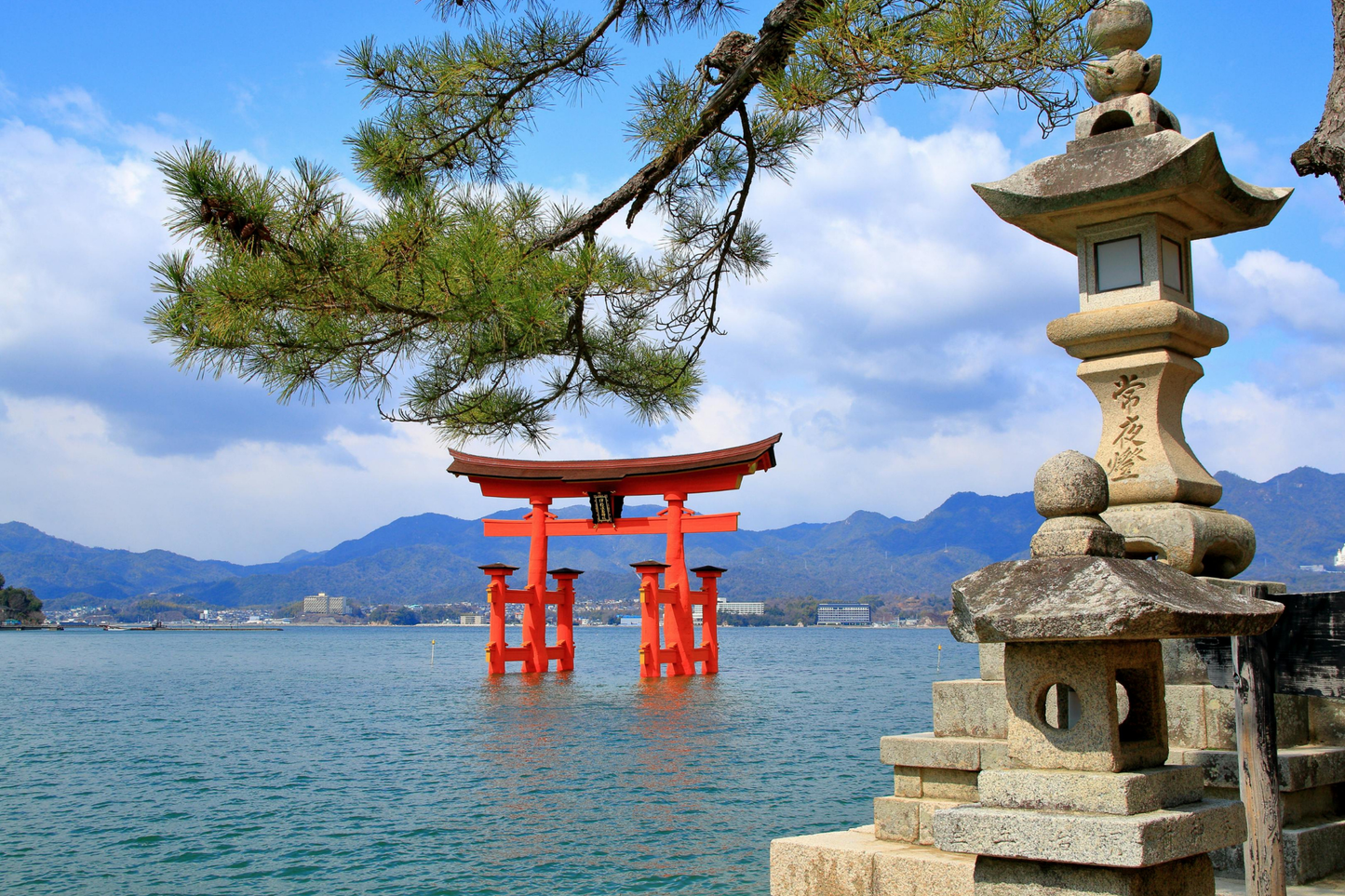 NEW JAPÓN, EL CAMINO DEL SAMURAI