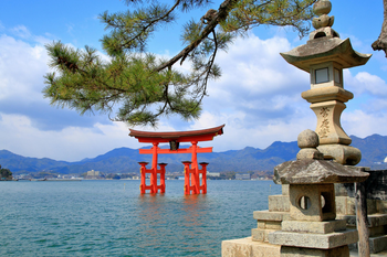NEW JAPÓN, EL CAMINO DEL SAMURAI