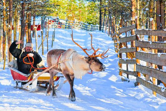 Magia Blanca en la Aldea de Santa Claus