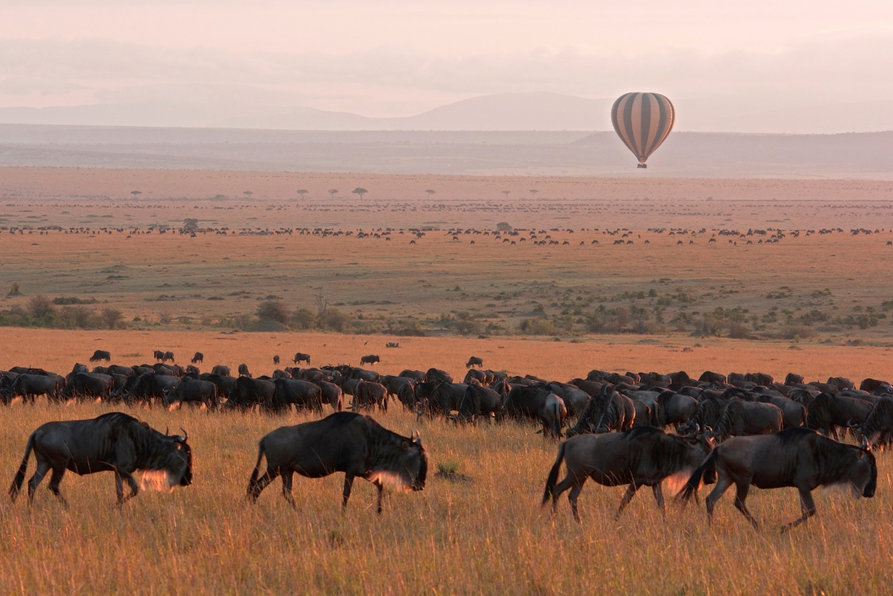 África Encantadora: Kenya, Tanzania y Zanzíbar