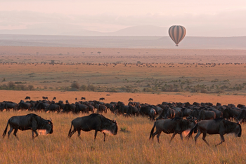 África Encantadora: Kenya, Tanzania y Zanzíbar